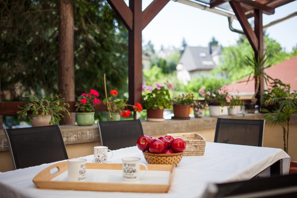 Villa Cecile Šoproň Exteriér fotografie