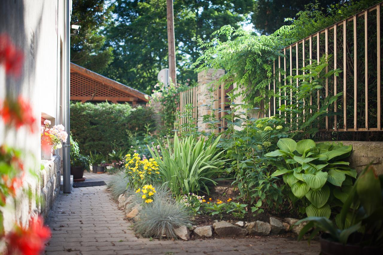 Villa Cecile Šoproň Exteriér fotografie