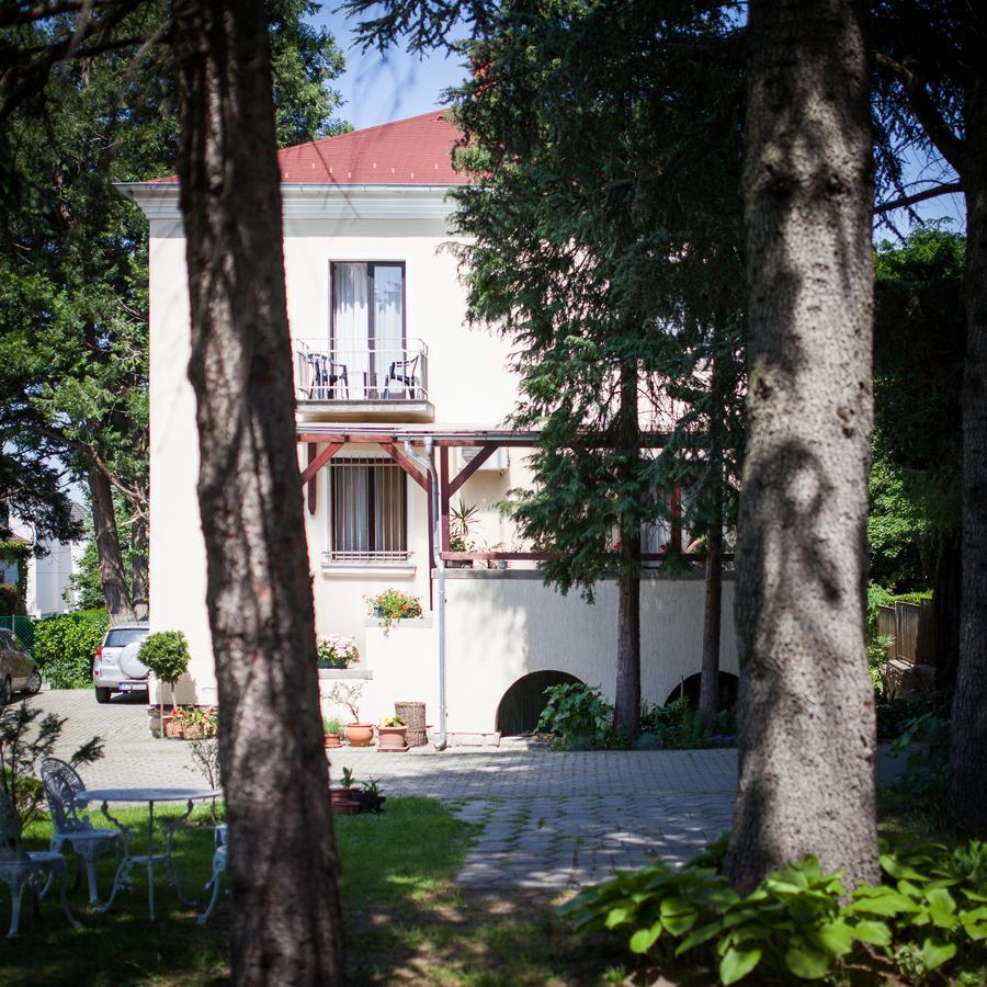 Villa Cecile Šoproň Exteriér fotografie